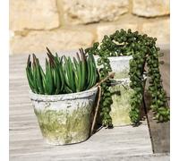 Wholesome Home Vintage White Stone Terracotta Plant Pots (Small 8X6Cm)