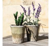 Wholesome Home Vintage Whitestone Terracotta Plant Pots, Various Sizes, Rustic Aged Finish (Large Pack of 2 (16x18cm))