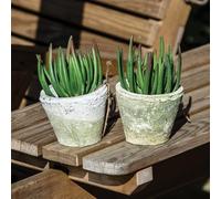 Wholesome Home Vintage Whitestone Terracotta Plant Pots, Various Sizes, Rustic Aged Finish (Small Pack of 4 (10x12cm))