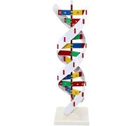 WHOOLEFUN DNA Model Kit, Double Helix Molecular Model, Double Spiral DNA Model, Educational Tool for Biology Classroom, Mounted On a Rotating Support