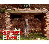 Who's Afraid of the Windy Wolf