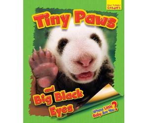 Whose Little Baby Are You? Tiny Paws and Big Black Eyes