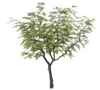 WHRAOY Large Maple Trees, Green Artificial Tree, Low Maintenance + Life-Like Appearance + Adjustable Branches, For Home Party Yard Mall Indoor,2×1.8m
