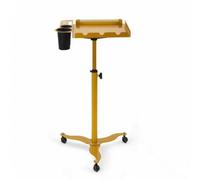 Whtkoph Hair Salon Trolley Rolling Cart Station Organizer Stand With Rolling Casters Height Adjustable Support Tray With Raised Edge and Slots suitable for stylists barbershops home use, Gold