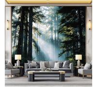 WHUOEUCO Photo Wallpaper Forest Sunset Nature 500x280 cm Fashion Art Wall Mural Non-Woven Large 3D Poster, Living Room TV Background Bedroom Decoration Mural