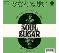 Why Can't We Live Together/Big Car [7" VINYL]