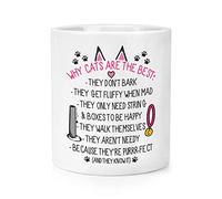 Why Cats are The Best Makeup Brush Pencil Pot