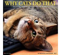 Why Cats Do That 2027 Wall