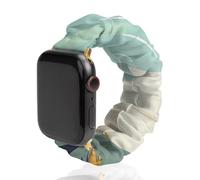 Why Did The Chicken Crossed The Road Compatible with IWatch Series Watch Strap Fashion Scrunchies Stretchy