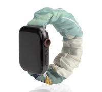 Why Did The Chicken Crossed The Road Compatible with IWatch Series Watch Strap Fashion Scrunchies Stretchy