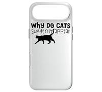 Why Do Cats Suddenly Appear - Funny Cat Lover Case for iPhone Air