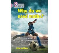 Why do we need maths?
