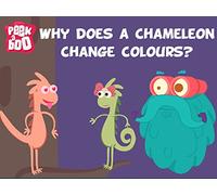 Why does a Chameleon change colors? The Dr. Binocs Show Educational Videos For Kids