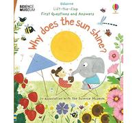Why Does the Sun Shine? (Lift the Flap First Questions and Answers): 1