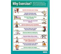 Why Exercise? | PE Posters | Gloss Paper measuring 850mm x 594mm (A1) | Physical Education Charts for the Classroom | Education Charts by Daydream Education