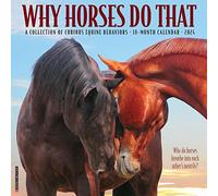 Why Horses Do That 2024 12 X 12 Wall Calendar
