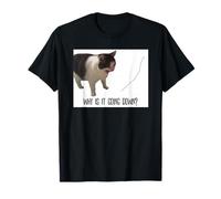 Why is It Going Down? Funny Cat Meme Stock Market T-Shirt
