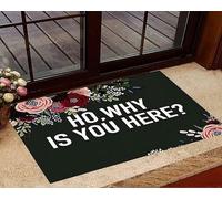 Why Is You Here Floor Mats Soft Welcome Mat Heavy Duty Bath Mats For Kitchen Front Back Door Dogs 40 X 60Cm
