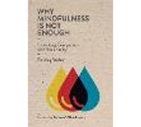 Why Mindfulness is not Enough