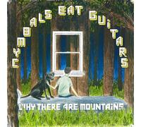 Cymbals Eat Guitars - Why There Are Mountains