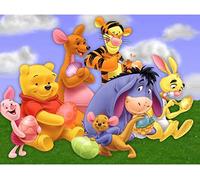 WHYCJXWL Diamond Art Kits for Adults and Kids, Full Drill Round Rhinestone Paint with Diamonds, Winnie The Pooh Diamond Painting (12X16 Inch)