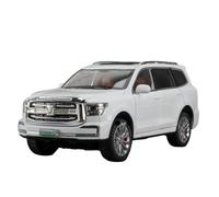 WHYMIRRJ Diecast 1:24 For TANK 500 HI4-T 300 Alloy Car Models Openable Doors Metal Vehicle Simulation Collection Ornaments Present(Tank 500 White)