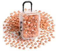Whyzsjnclg 100 Pcs Mini Resin Animals, Cartoon Capibala Resin Miniature Figurines - Multi-Style Mini Trinkets With Storage Box, Trinkets