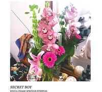 Wicca Phase Springs Eternal - Secret Boy (Blue / Orange) [VINYL]