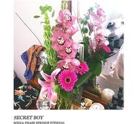 Wicca Phase Springs Eternal - Secret Boy (Doublemint Green Vinyl) [VINYL]