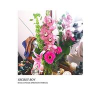 Wicca Phase Springs Eternal - Secret Boy [VINYL]