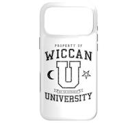 Wiccan University Hex The Patriarchy Vintage Witch Varsity Case for iPhone 17 Pro Max