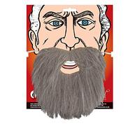 Wicked Costumes Beard – Adult Fancy Dress – Grey