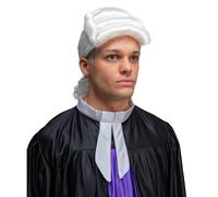 Wicked Costumes Adult Judge/Washington Fancy Dress Wig