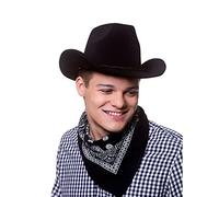 Wicked Costumes Adult Super Deluxe Black Suede Cowboy Hat Unisex Fancy Dress Accessory