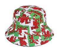 Wicked Costumes Adult Wales Bucket Hat