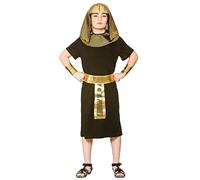 Wicked Costumes Boys Egyptian King Fancy Dress Costume - Medium (5-7 Years)