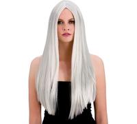 Classic Long Silver Fancy Dress Wig