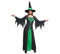 Wicked Costumes Ladies Green Spellbound Witch Halloween Fancy Dress Costume