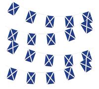 Wicked Costumes Scotland Bunting 10 Metres - 20 Flags 31x20cm Rectangular, Plastic, Blue, White"