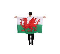 Wicked Costumes Wales Flag Cape (5x3ft)