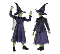 Disguise ELPHABA DELUXE 167029M-EU Unisex Children Solid Multi 3-4 years
