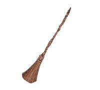 Wicked Elphaba Fancy Dress Accessories for Kids, Official Wicked by Disguise, Elphaba Hat and Elphaba Broomstick, Inspired by the Wicked Movie, Perfect for Halloween and Carnival