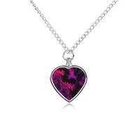 Wicked Feather Tie-Dye Heart Pet Ashes Necklace Jewellery Dog Alloy Keepsake Pendant Cat