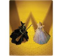 Wicked: For Good DVD (2026) Cynthia Erivo, Chu (DIR) cert PG 2 discs NEW