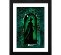 Wicked Witch of the West 30 x 40cm Framed Collector Print