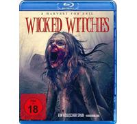 Wicked Witches (2018) ( The Witches of Dumpling Farm ) (Blu-Ray)