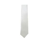 WickedFun® MEN’S LUXURY Polyester Casual Satin Neck Tie Plain Stripped Printed Wedding School Formal Halloween Fancy Dress Party Ties UK (White)
