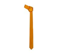WickedFun Mens Slim Skinny Solid Color Plain Stripe Satin RainbowTie Neck tie Check Novelty (Orange)