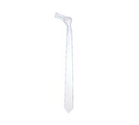 WickedFun Slim Tie For Men Solid Plain Colour Stripe Check Formal Skinny Classic Wedding Fashion Satin Novelty Necktie (White)