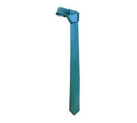 WickedFun Slim Tie For Men Solid Plain Colour Stripe Check Formal Skinny Classic Wedding Fashion Satin Novelty Necktie (Turquoise)